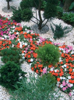 Name:  en-guzel-bahce-birincisi-subat2011-6.jpg
Views: 6334
Size:  33.6 KB