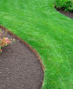 Name:  lawn_edgingMarshallBros[1].jpg
Views: 6603
Size:  17.2 KB