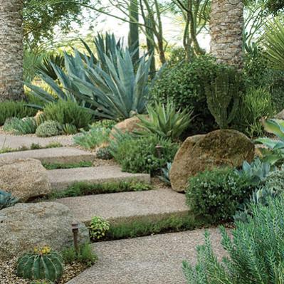 Name:  wide steps.jpg
Views: 5246
Size:  46.0 KB