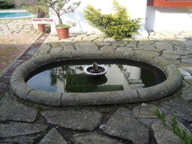Name:  N. Peyzaj Resim 518.jpg.jpg
Views: 3437
Size:  65.7 KB