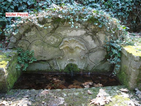Name:  N. Peyzaj Resim 519.jpg.jpg
Views: 2218
Size:  71.3 KB