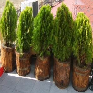 Name:  kod_45_s6.jpg
Views: 7670
Size:  18.6 KB