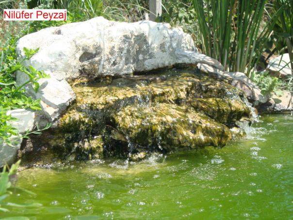 Name:  N. Peyzaj Resim 523.jpg.jpg
Views: 3031
Size:  71.4 KB