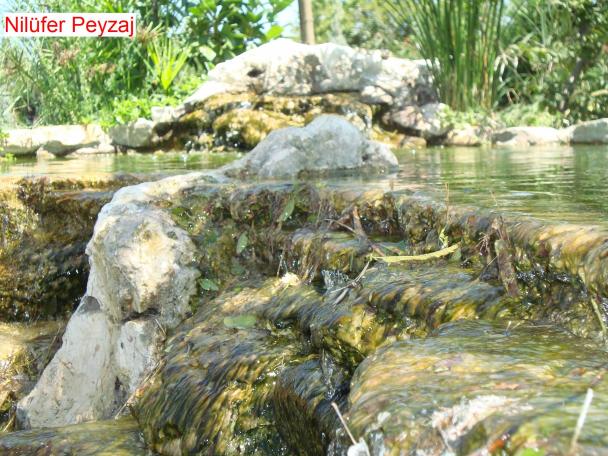Name:  N. Peyzaj Resim 525.jpg.jpg
Views: 2847
Size:  71.1 KB