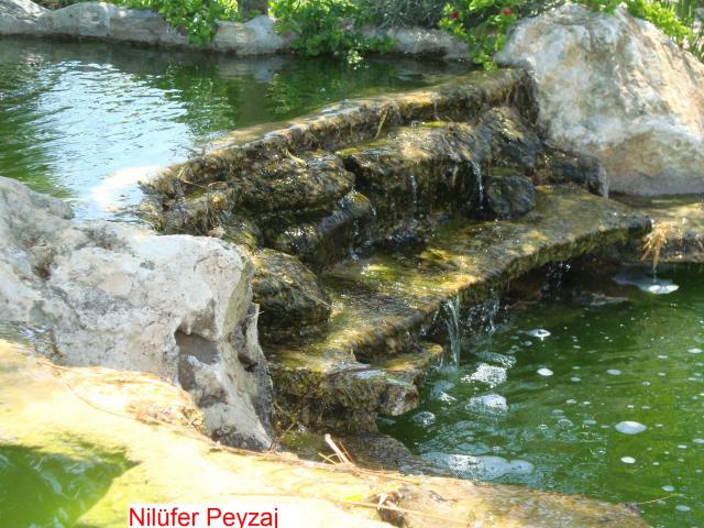 Name:  N. Peyzaj Resim 526.jpg.jpg
Views: 3066
Size:  69.5 KB