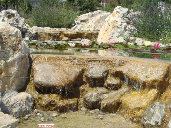 Name:  N. Peyzaj Resim 527.jpg.jpg
Views: 3310
Size:  70.9 KB