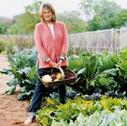 Name:  Martha Stewart.jpg
Views: 3864
Size:  40.8 KB