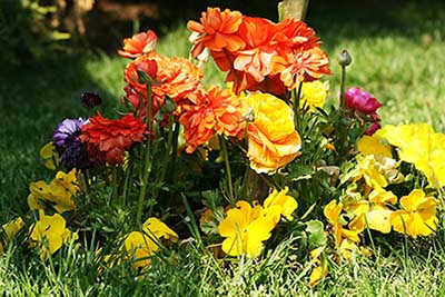 Name:  IMG_0673.JPG
Views: 3559
Size:  66.5 KB