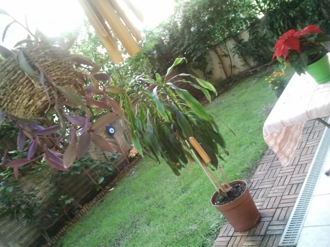 Name:  Fotoraf3038.jpg
Views: 2760
Size:  60.1 KB