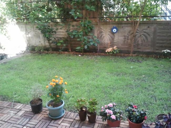 Name:  Fotoraf3030.jpg
Views: 2899
Size:  69.1 KB
