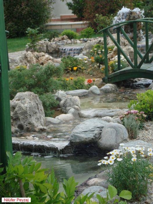 Name:  Nilfer peyzaj Peyzaj Resim 541.jpg.jpg
Views: 2491
Size:  74.3 KB