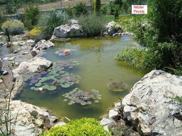 Name:  Nilfer peyzaj Peyzaj Resim 549.jpg.jpg
Views: 1766
Size:  70.6 KB