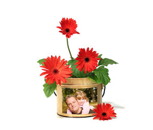 Name:  blumentopf-1.jpeg
Views: 8106
Size:  12.4 KB