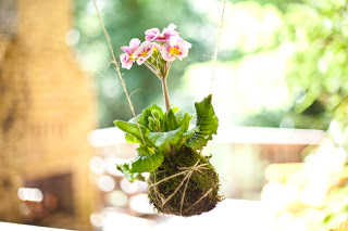Name:  craftzine_string_garden_10.jpeg
Views: 8059
Size:  24.0 KB