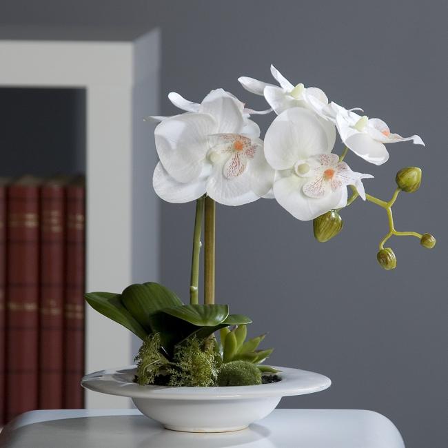 Name:  kunstpflanze-orchideen-arrangement-in-dekoschale_49455.jpg
Views: 11033
Size:  33.0 KB
