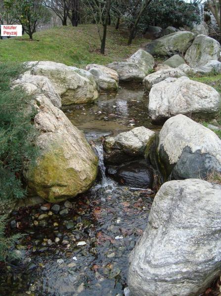 Name:  Nilfer peyzaj Peyzaj Resim 557.jpg.jpg
Views: 2329
Size:  72.2 KB