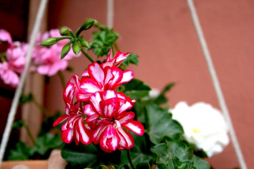 Name:  IMG_1091.JPG
Views: 3556
Size:  50.6 KB