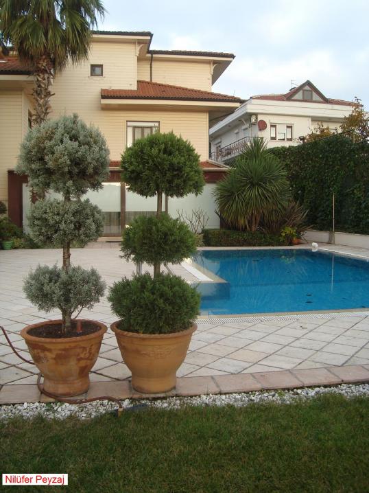 Name:  Nilfer peyzaj Peyzaj Resim 562.jpg.jpg
Views: 2015
Size:  71.3 KB