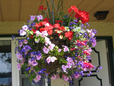 Name:  Picture 438_1.jpg
Views: 9094
Size:  69.4 KB