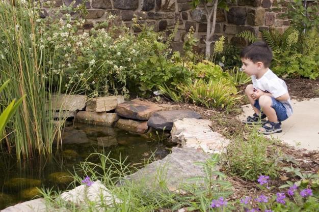 Name:  pond-25_jpg.jpg
Views: 6275
Size:  70.8 KB