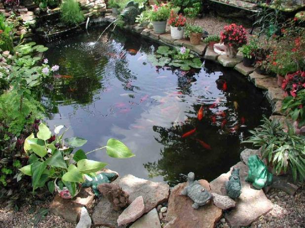 Name:  pond.jpg
Views: 7277
Size:  71.2 KB