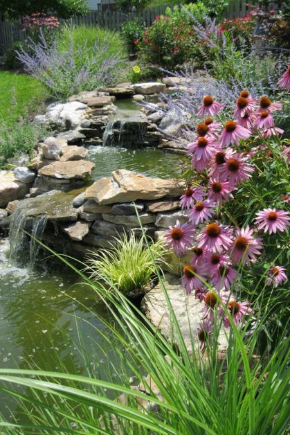 Name:  pond.jpg
Views: 2487
Size:  75.2 KB