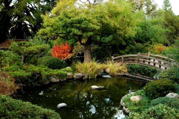 Name:  pond-37_jpg.jpg
Views: 2665
Size:  71.0 KB