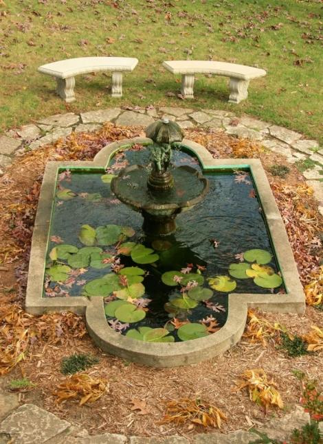 Name:  pond-39_jpg.jpg
Views: 2446
Size:  77.0 KB