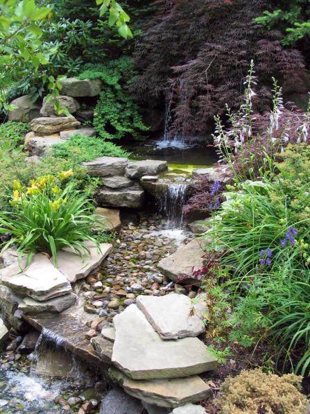 Name:  pond-42_jpg.jpg
Views: 2603
Size:  77.8 KB