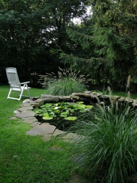 Name:  pond-40_jpg.jpg
Views: 2149
Size:  74.2 KB
