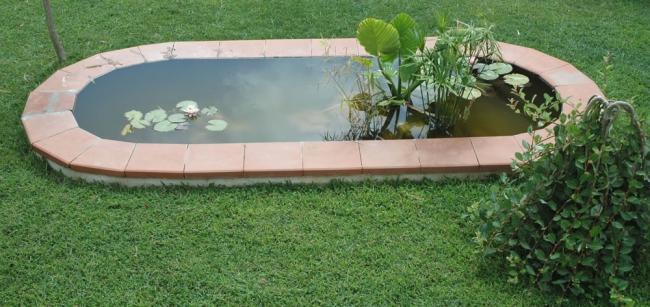 Name:  pond-45_jpg.jpg
Views: 2013
Size:  44.7 KB