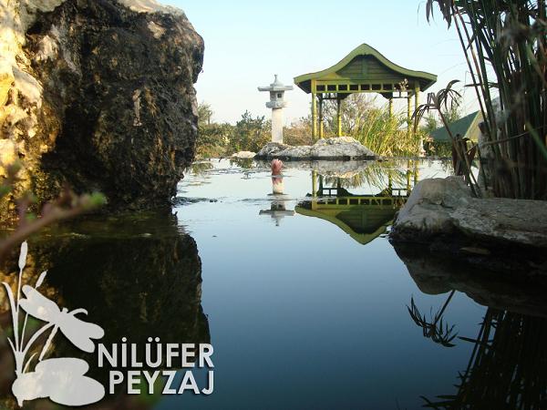 Name:  Nilfer Peyzaj 027.jpg
Views: 1828
Size:  62.6 KB