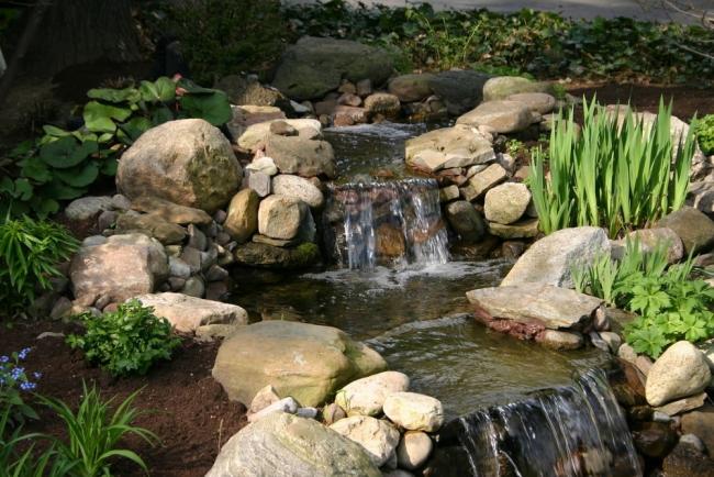 Name:  pond-2_jpg.jpg
Views: 2085
Size:  64.3 KB