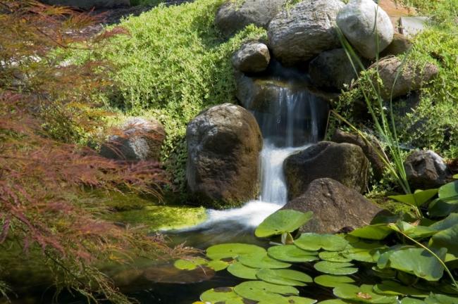 Name:  pond-23_jpg.jpg
Views: 2346
Size:  65.4 KB