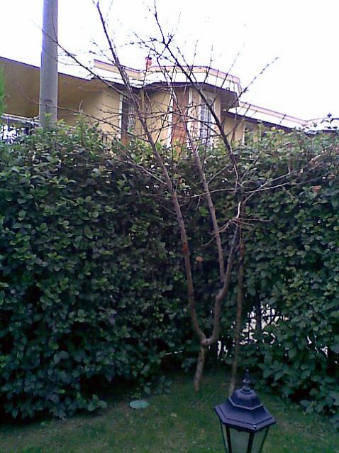 Name:  1.jpg
Views: 1349
Size:  63.5 KB