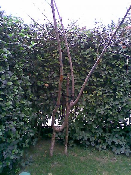 Name:  3.jpg
Views: 1295
Size:  66.1 KB