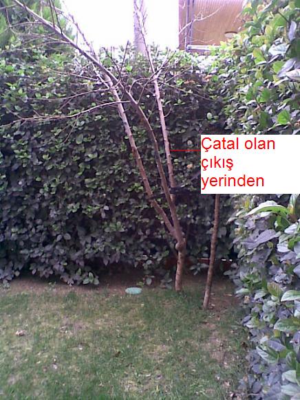 Name:  2.jpg
Views: 1303
Size:  66.5 KB