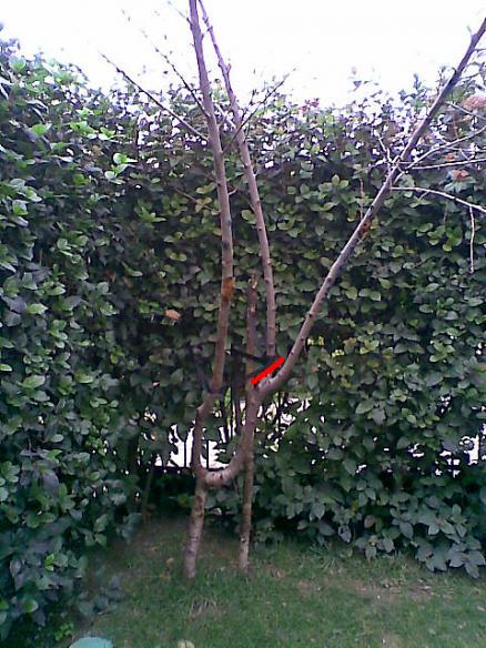 Name:  3.jpg
Views: 1306
Size:  66.1 KB