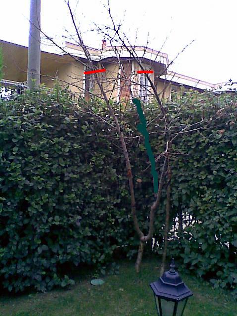Name:  1.jpg
Views: 1258
Size:  63.5 KB