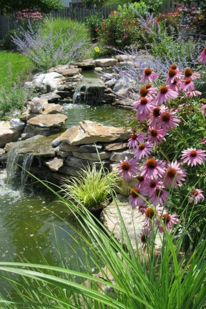 Name:  pond.jpg
Views: 1669
Size:  74.9 KB