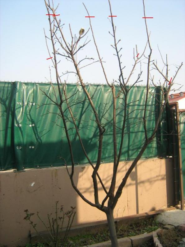 Name:  IMG_3246.jpg
Views: 1251
Size:  65.1 KB