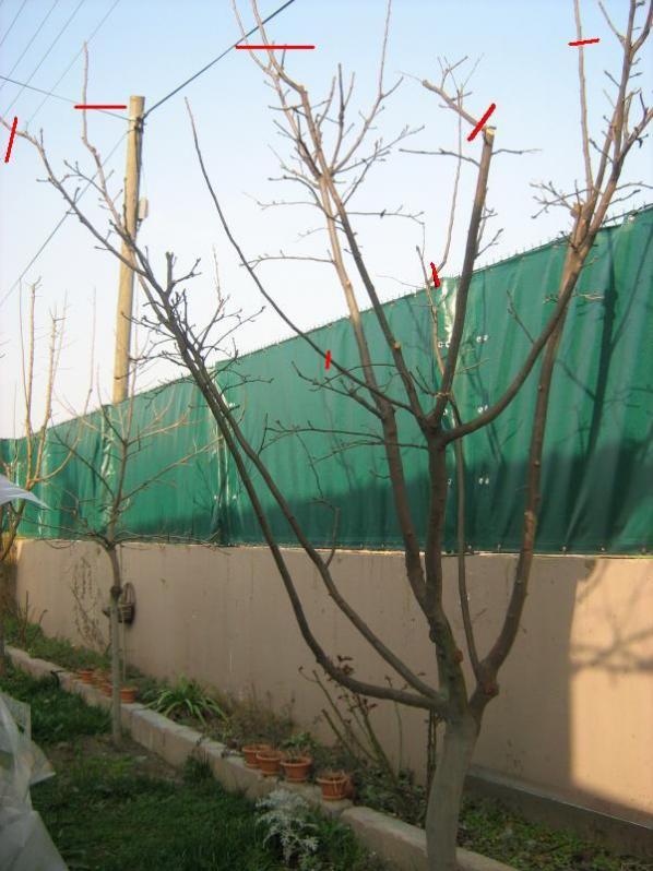 Name:  IMG_3247.jpg
Views: 1312
Size:  64.8 KB