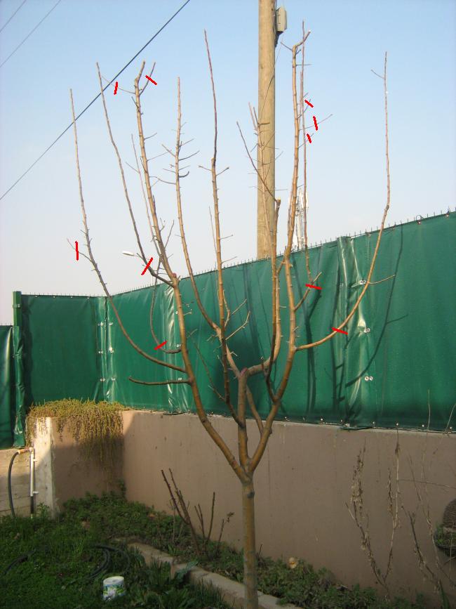 Name:  IMG_3250.jpg
Views: 1180
Size:  65.9 KB