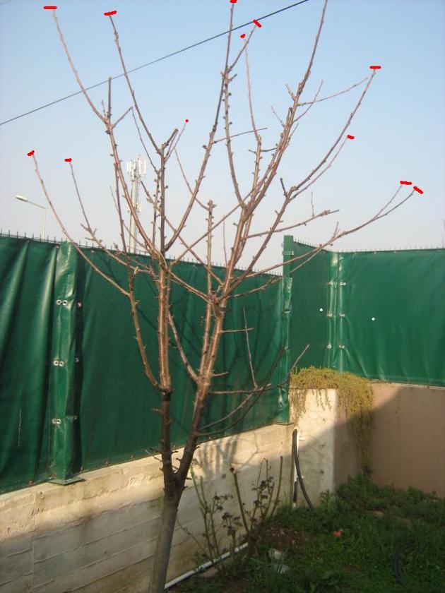Name:  IMG_3253.jpg
Views: 1200
Size:  63.8 KB