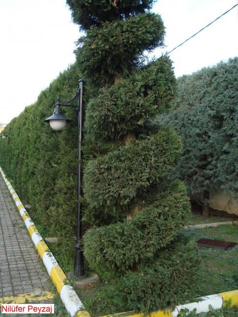 Name:  Nilfer peyzaj Peyzaj Resim 566.jpg.jpg
Views: 2849
Size:  70.7 KB