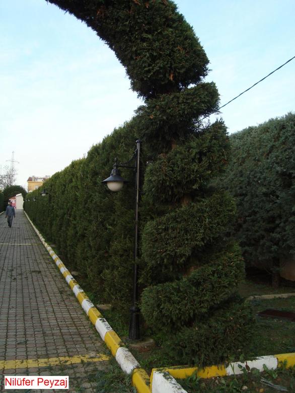 Name:  Nilfer peyzaj Peyzaj Resim 567.jpg.jpg
Views: 2518
Size:  70.7 KB