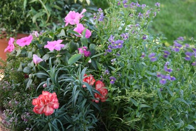 Name:  IMG_1687.JPG
Views: 3020
Size:  65.7 KB