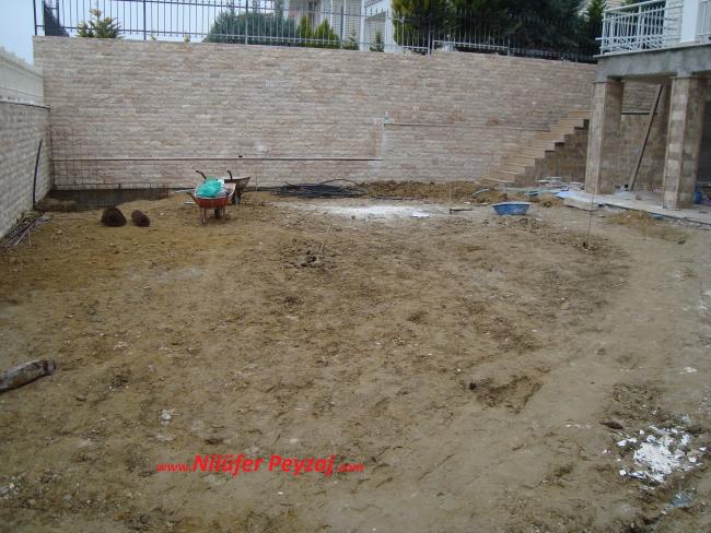 Name:  Nilfer Peyza 573.jpg
Views: 1859
Size:  60.9 KB