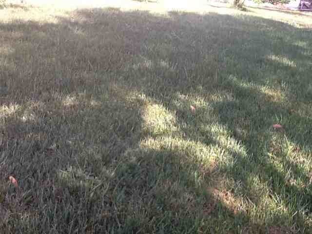 Name:  ImageUploadedByTapatalk1374740133.458130.jpg
Views: 2497
Size:  60.8 KB