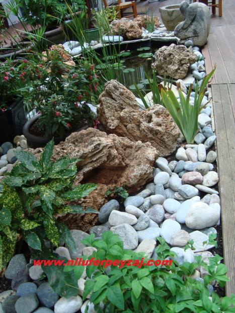 Name:  Nilfer Peyzaj 581.jpg
Views: 2110
Size:  77.0 KB